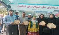 برگزاری دوره آموزشی کیفیت‌ بخشی به نان‌های سنتی در جشنواره نان محلی حنا با عنوان از مزرعه تا سفره