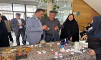 جشنواره جهادی زنان، سلامت خانواده و تعالی جامعه